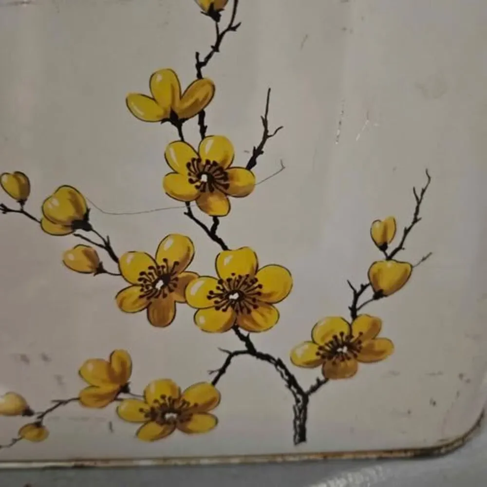 Vintage 1950s Rustic Painted Vinted Floral Metal Bread Box Minor Dent and Rust